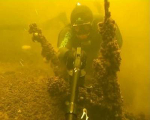 подводная охота клуб берег
